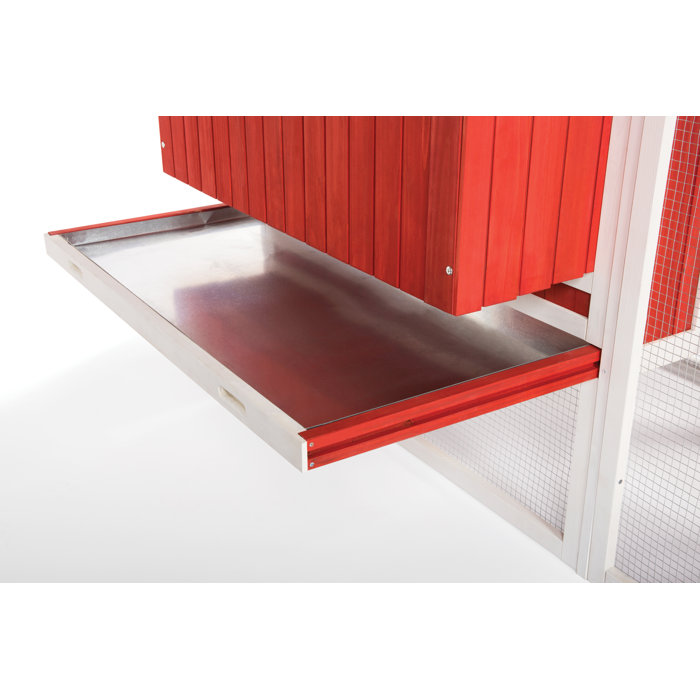 Archie & Oscar™ Hermione 33.93 Square Feet Chicken Coop with Chicken